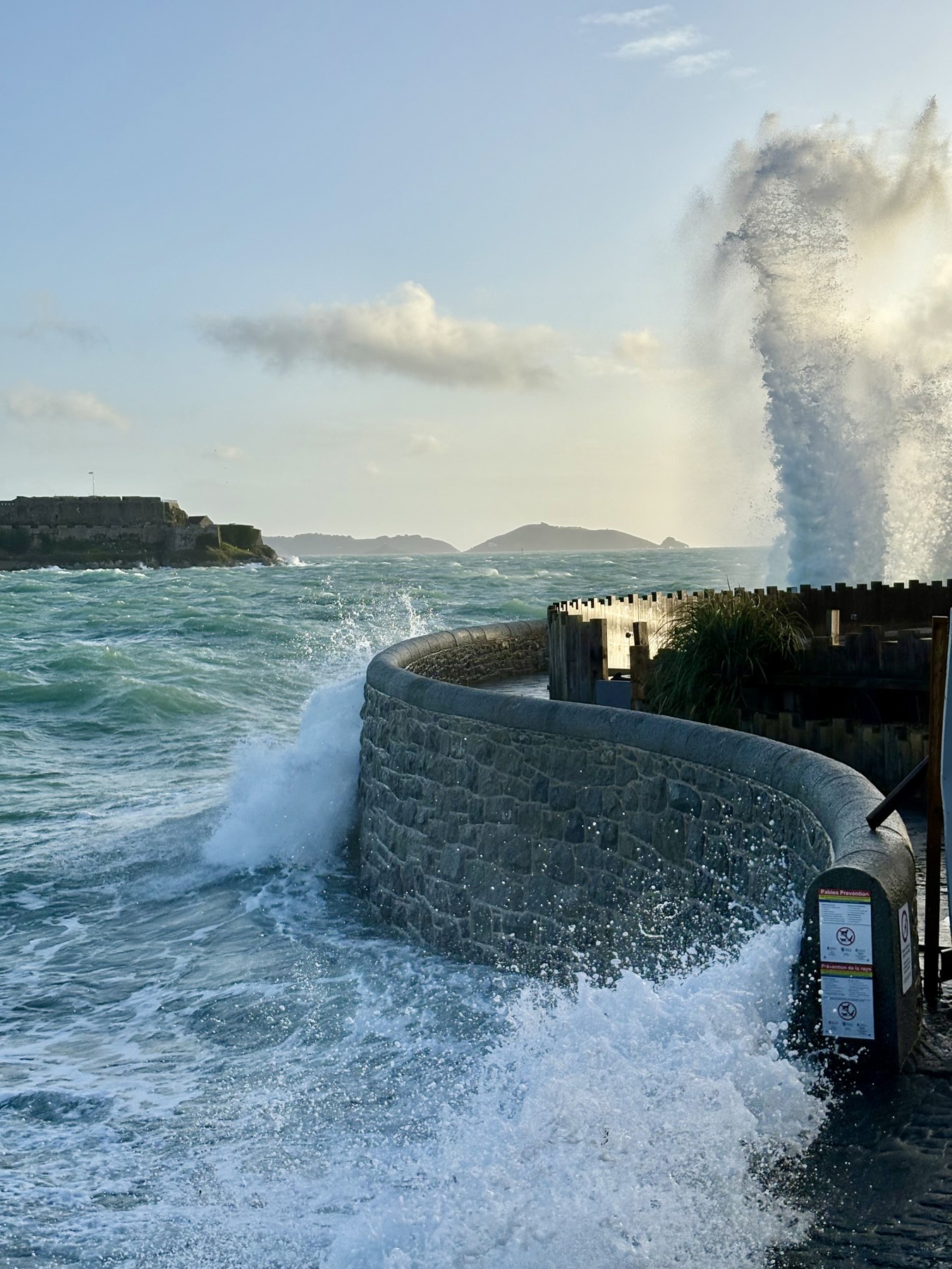 Weather Fox image uploaded by Julia Meredith