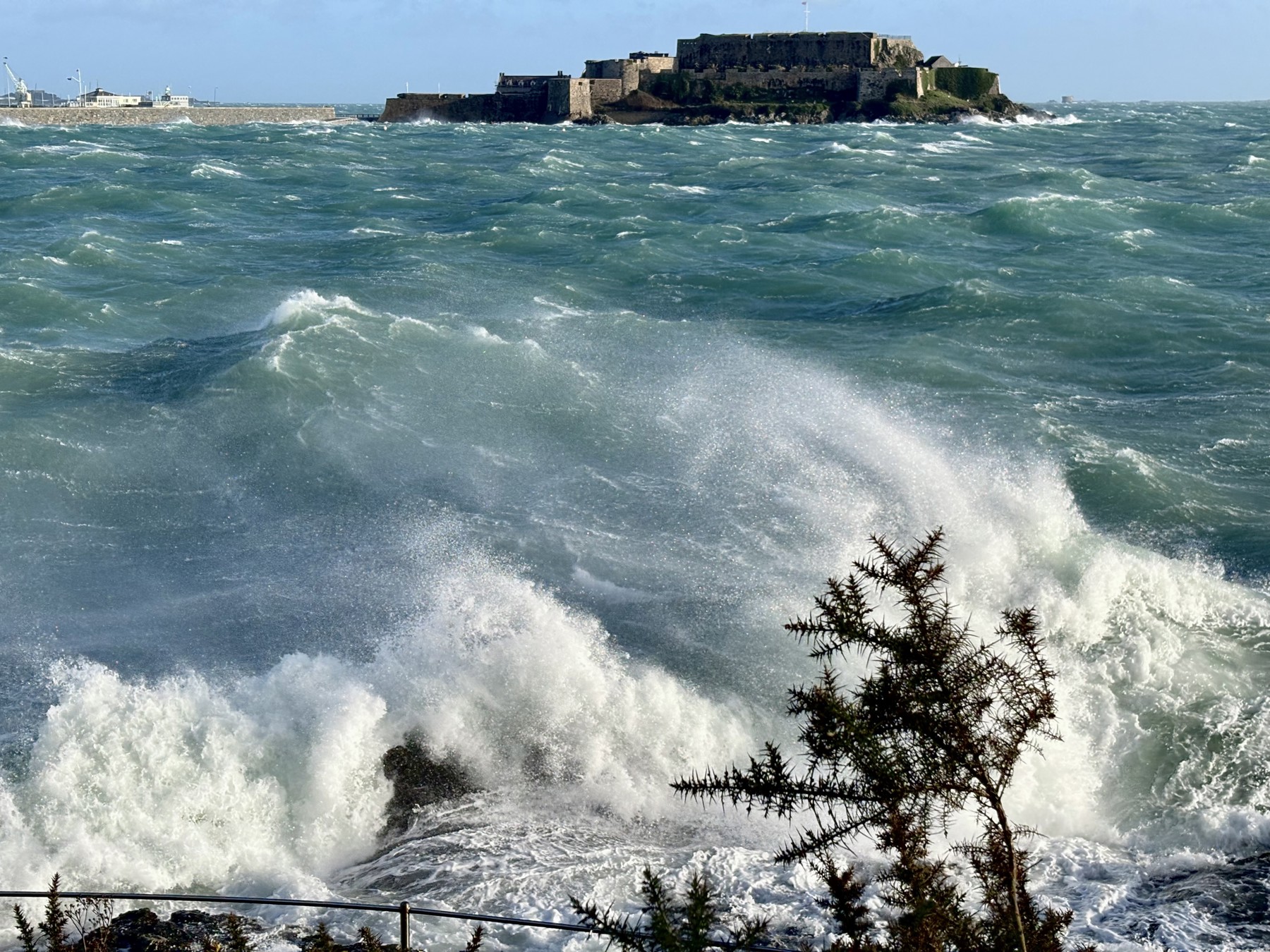 Weather Fox image uploaded by Julia Meredith