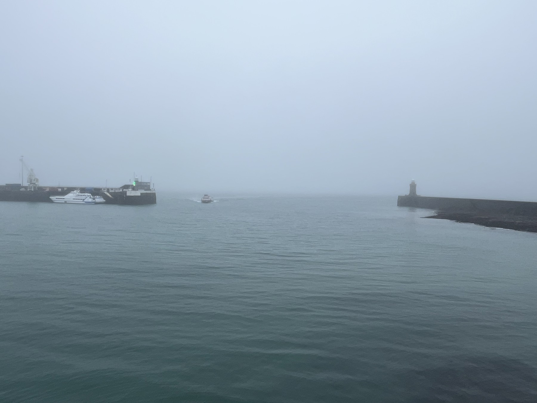 Weather Fox image uploaded by Jane Le Blancq